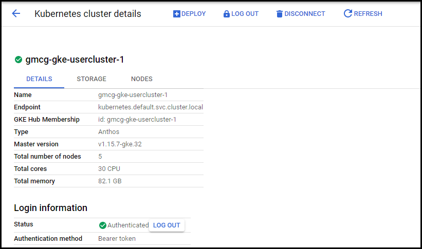 "Cloud console - user cluster details"